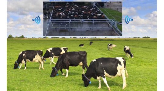Farm backing gate controls