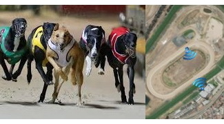Greyhound racetrack control WP2P
